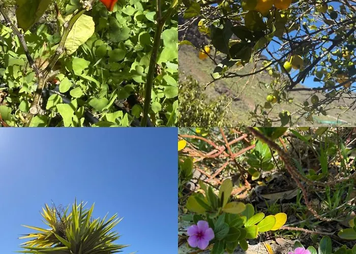 Medinas * Лас-Пальмас-де-Гран-Канарія