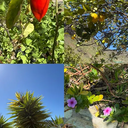 Medinas * Λας Πάλμας ντε Γκραν Κανάρια